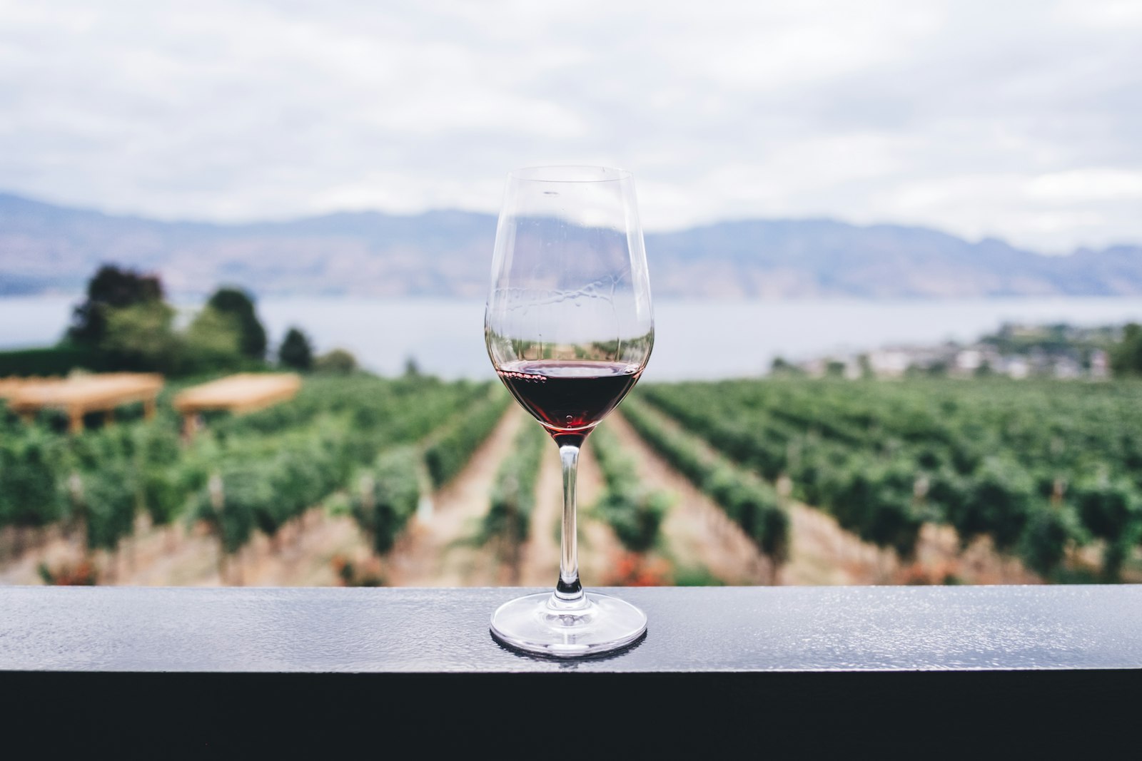 Vinmark i Nordportugal